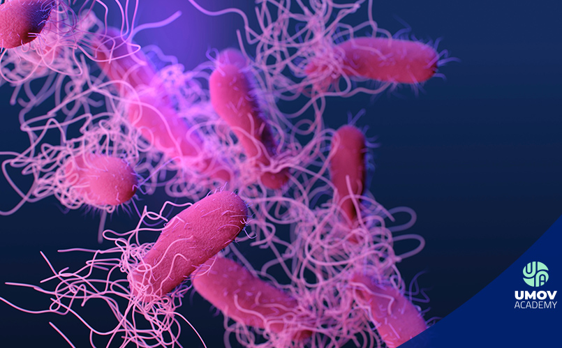 Bacterias que limpian los océanos